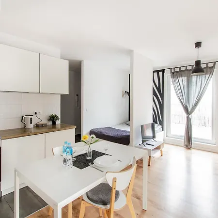 White With Terrace Apartmán Vratislav